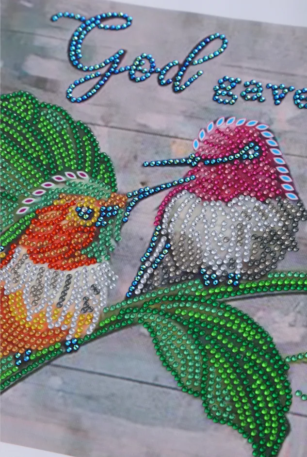 5D DIY Special Shaped  -Bird 30*40CM
