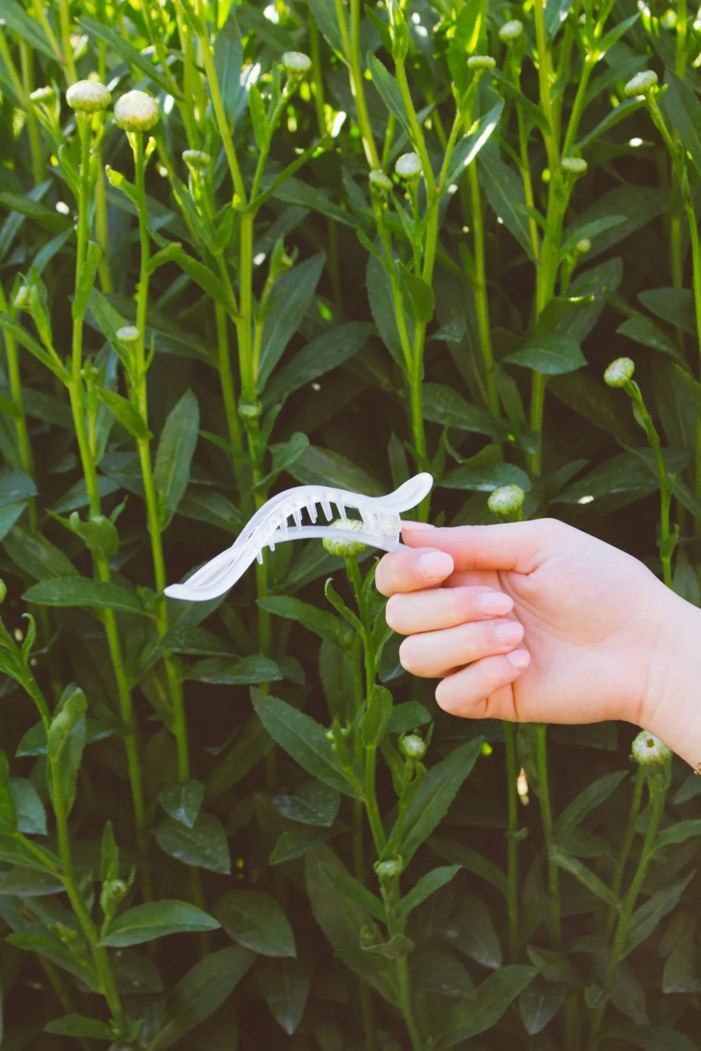 Alligator Claw Clip